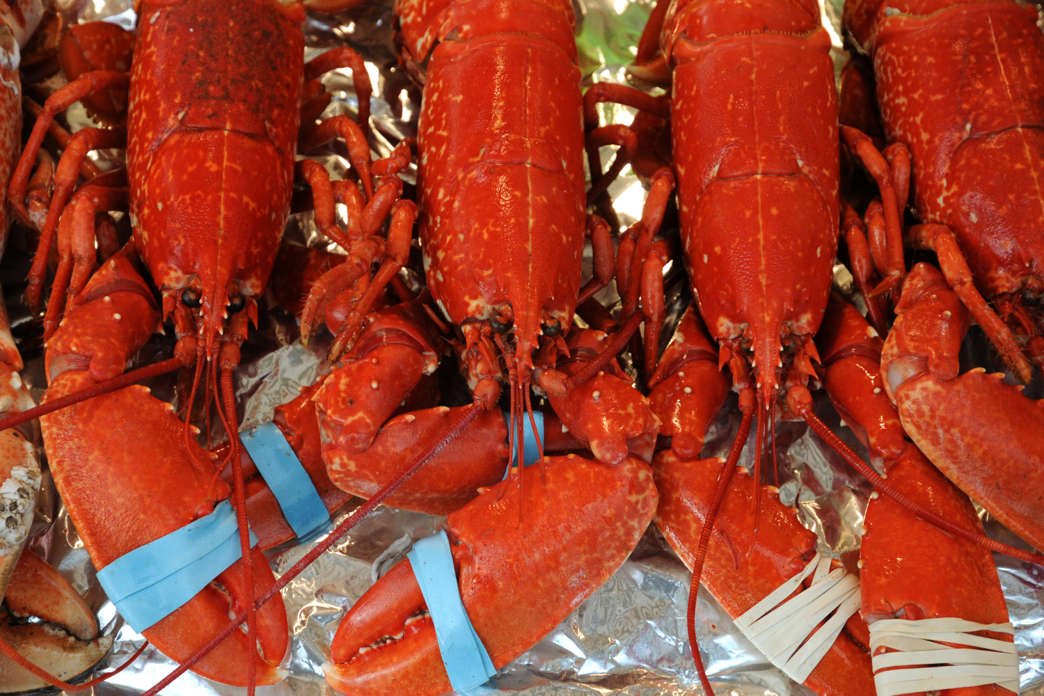 Lobster Dinner for four