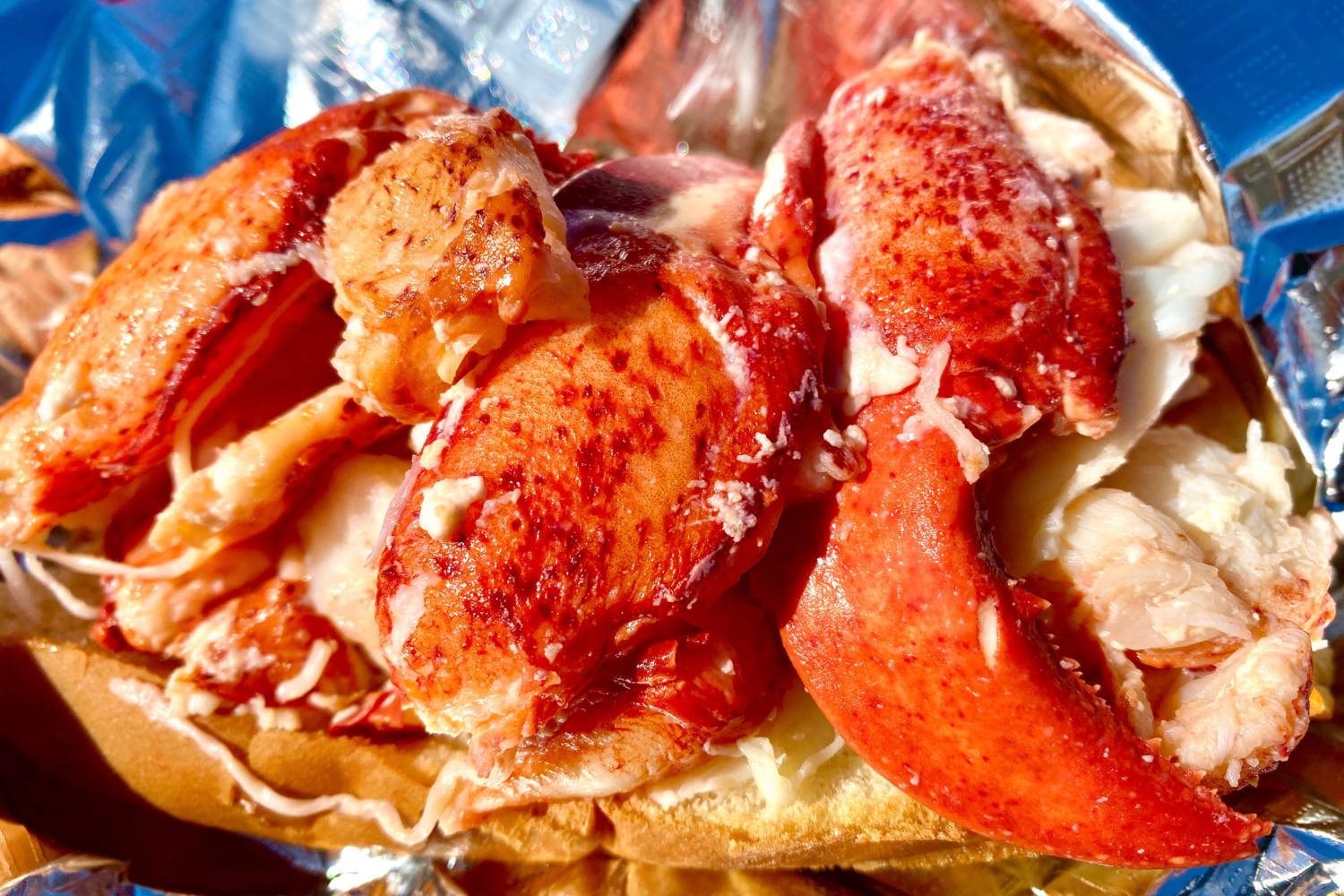 Frozen Lobster Meat
