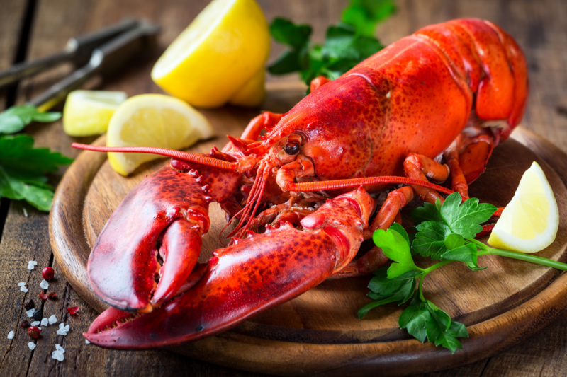 SHOP LOBSTER DINNERS