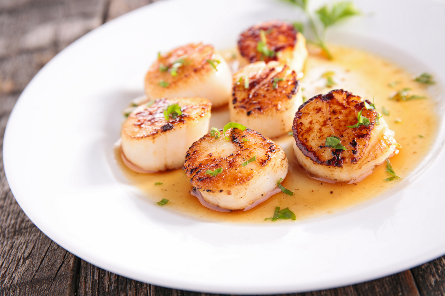 Wild Sea Scallops