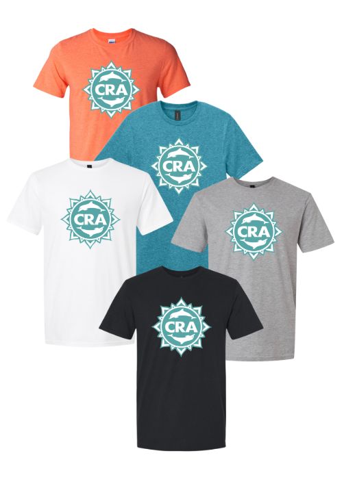 CRA Dolphins TEAL TEAM LOGO T-Shirt - Sport Grey, Heather Orange, Black, Teal or White - Youth & Adult Sizes