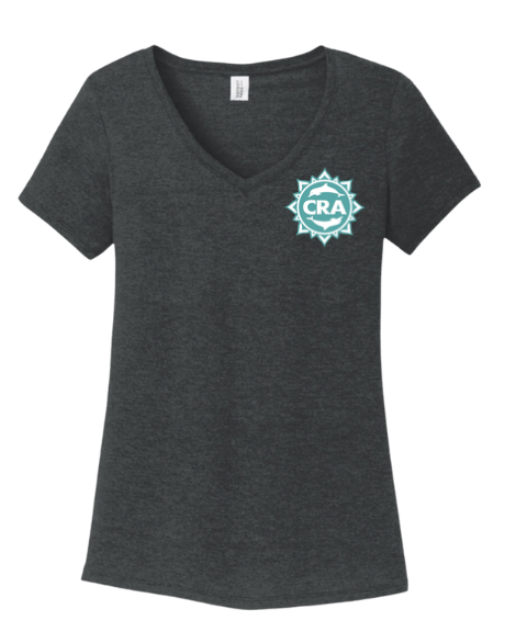 CRA Dolphins TEAL TEAM LOGO Ladies V-Neck Tee - Grey Frost, Black or White - LADIES