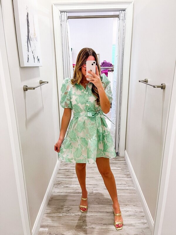 Puff Sleeves Jacquard Button Down Dress - Mint
