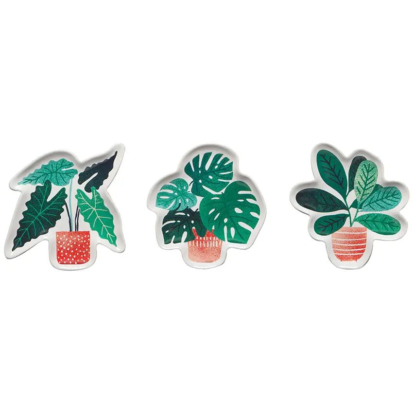 Let it Grow - Set of Three Dishes