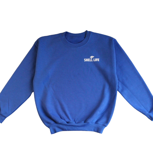 Youth Boys Heavy Blend Crewneck Sweatshirt - Royal