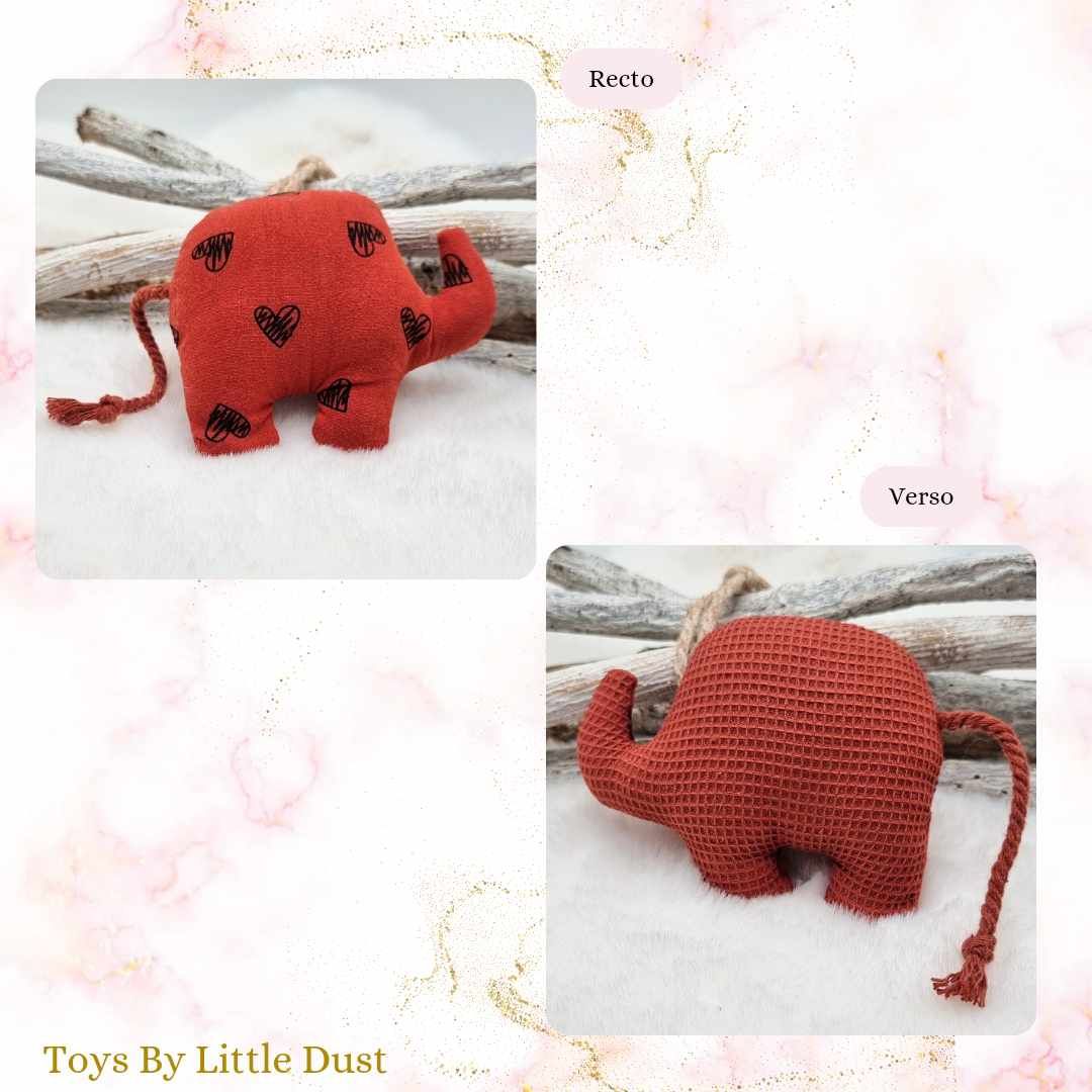 Peanut Cordie Catnip Menthe