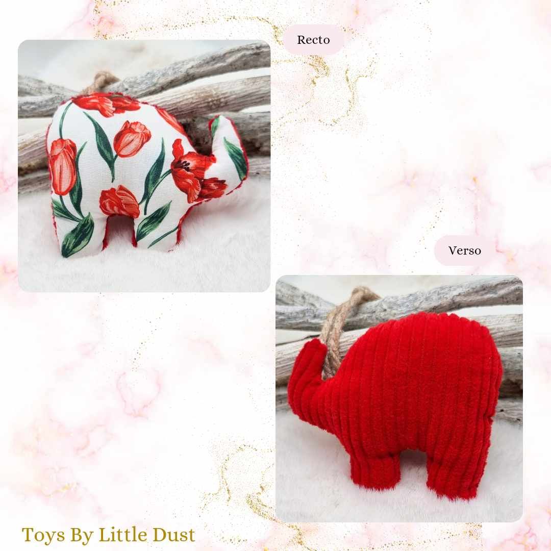 Peanut Cordie Catnip Menthe