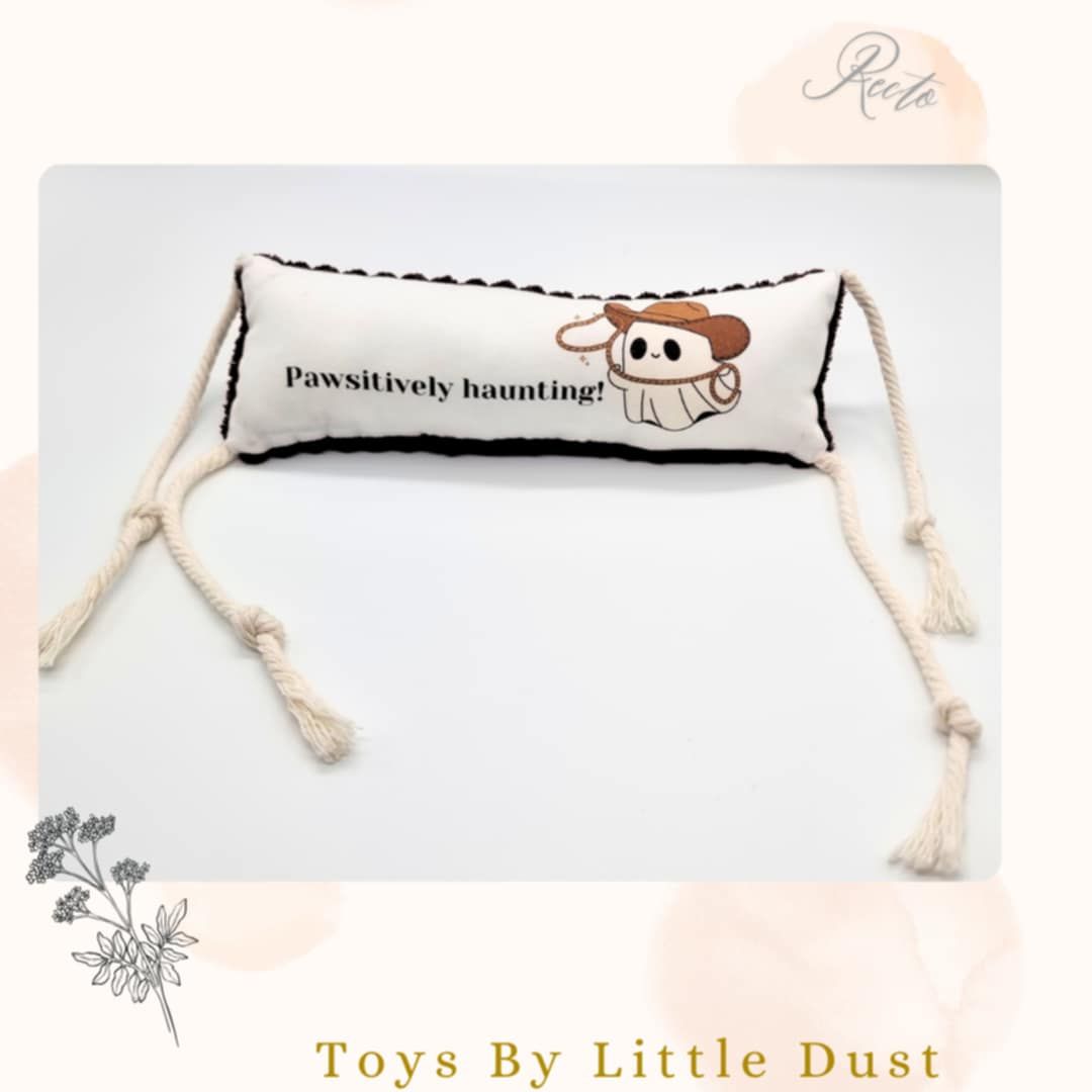 Kicker &quot;Pawsitively Haunting &quot; - Valeriane