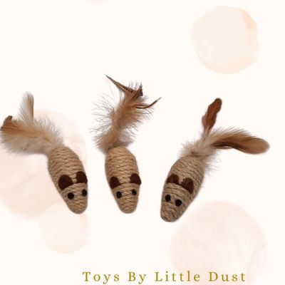 Petite Souris Jouet avec Plumes ! 🐭✨ Petite Souris Jouet avec Plumes ! 🐭✨