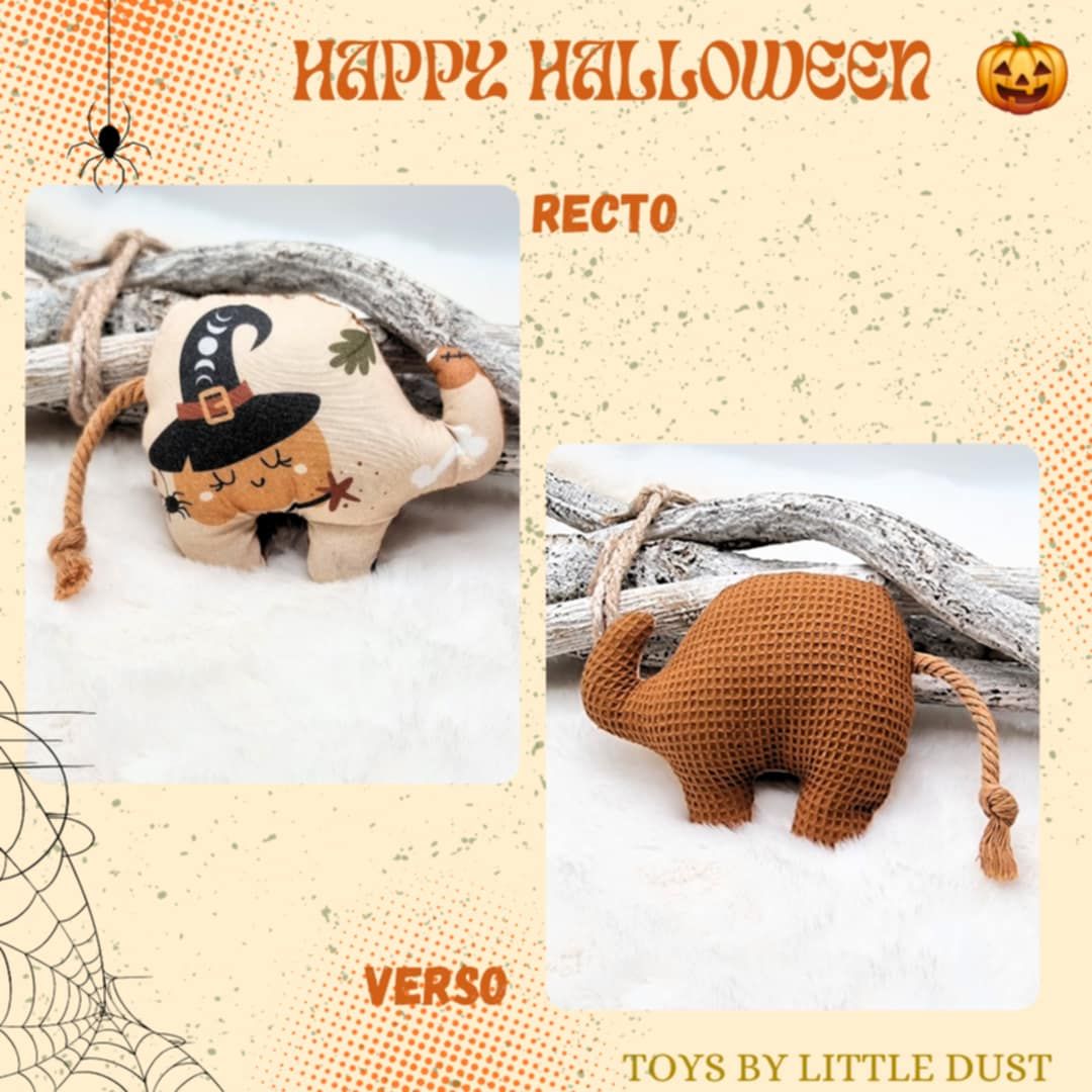 Peanut Cordie Halloween Edition 🎃👻 Catnip Menthe