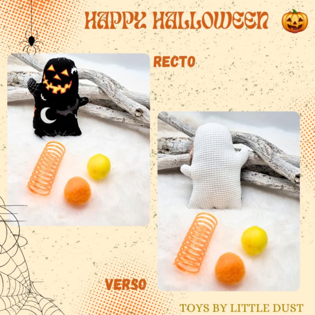 Casper Halloween Edition 🎃👻 Catnip Menthe