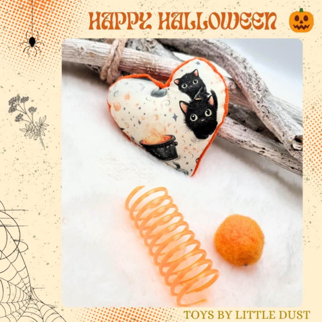 Cupid le Cœur Enchanté Halloween Edition 🎃👻 Catnip Menthe