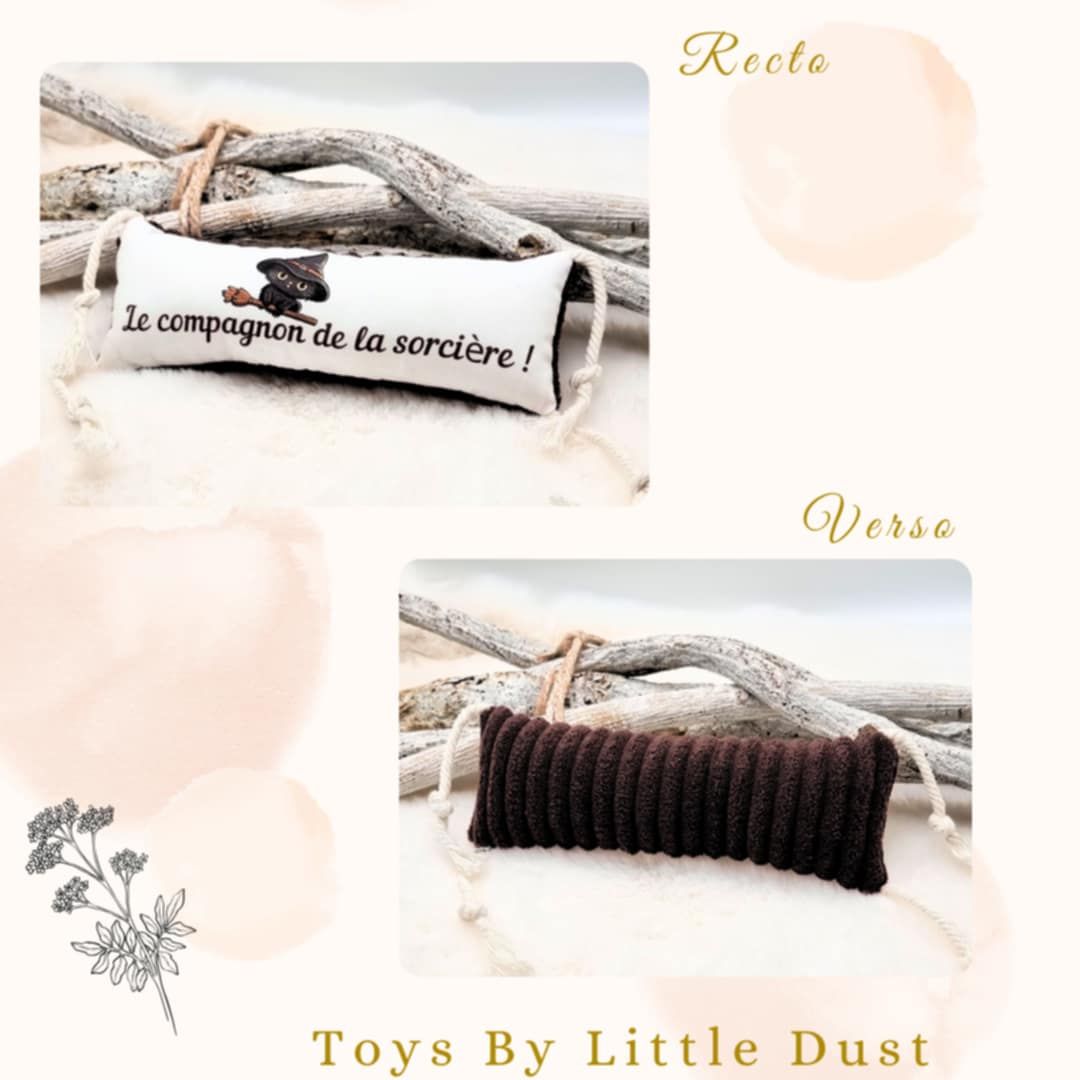 Le Compagnon de la Sorcière – Kicker Halloween Edition 🎃👻 Valériane