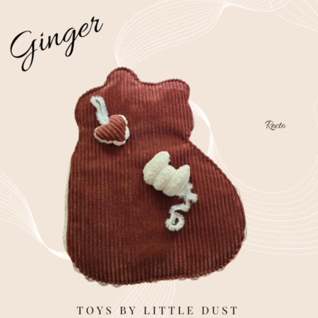 Kit Ginger - avec son Jouet au Choix