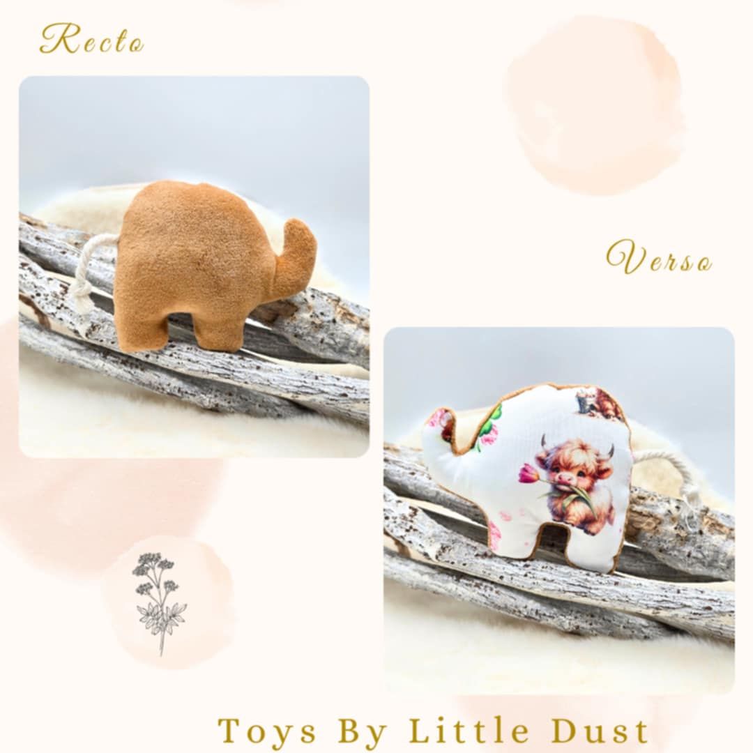 🎁 Peanut Cordie - Valériane 🎁