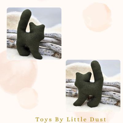 🎁Sushi  catnip menthe 🎁