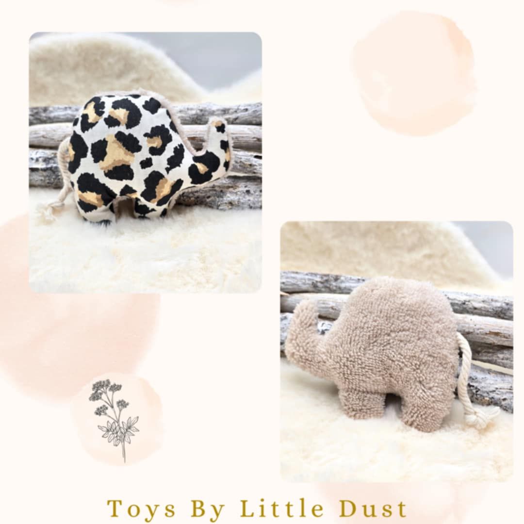 🎁 Peanut Cordie - Valériane 🎁