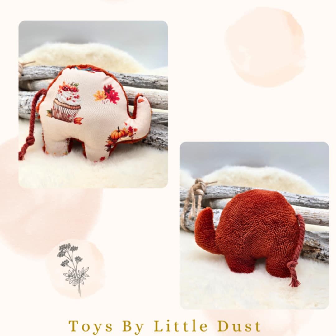 🎁 Peanut Cordie - Valériane 🎁