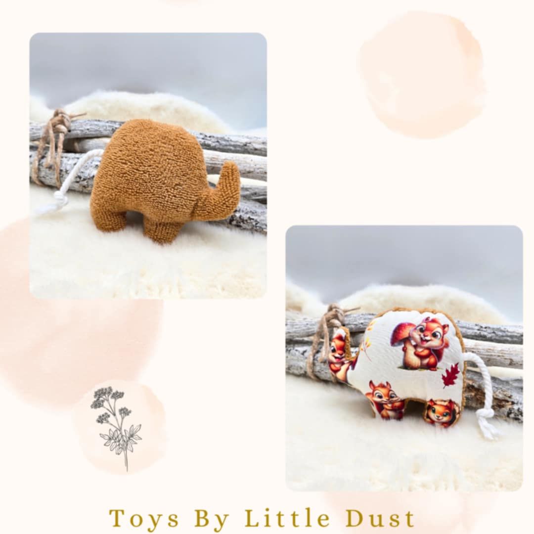 🎁 Peanut Cordie - Valériane 🎁