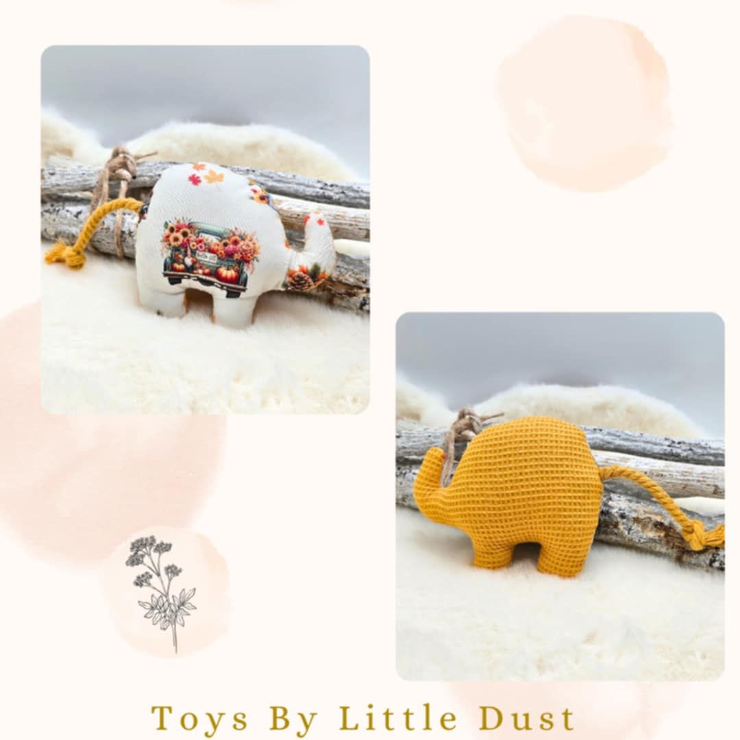 🎁 Peanut Cordie - Valériane 🎁