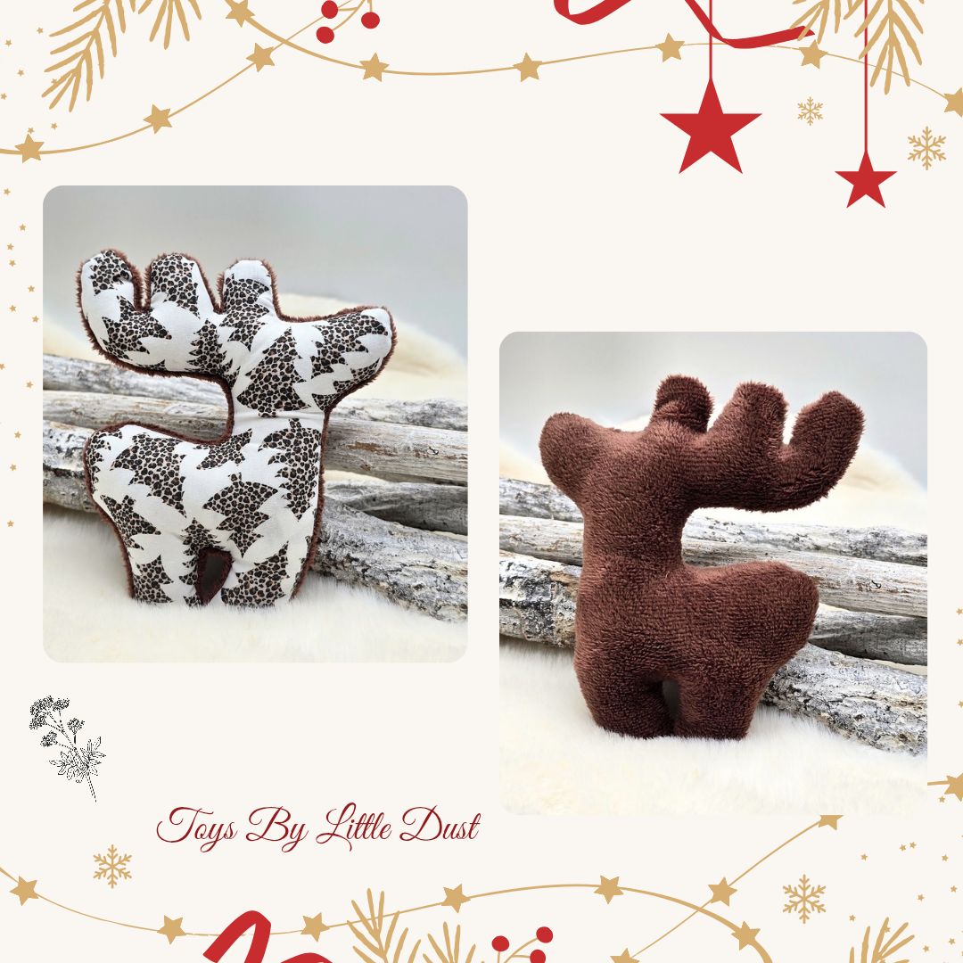 Comète de Noël 🎄Valériane