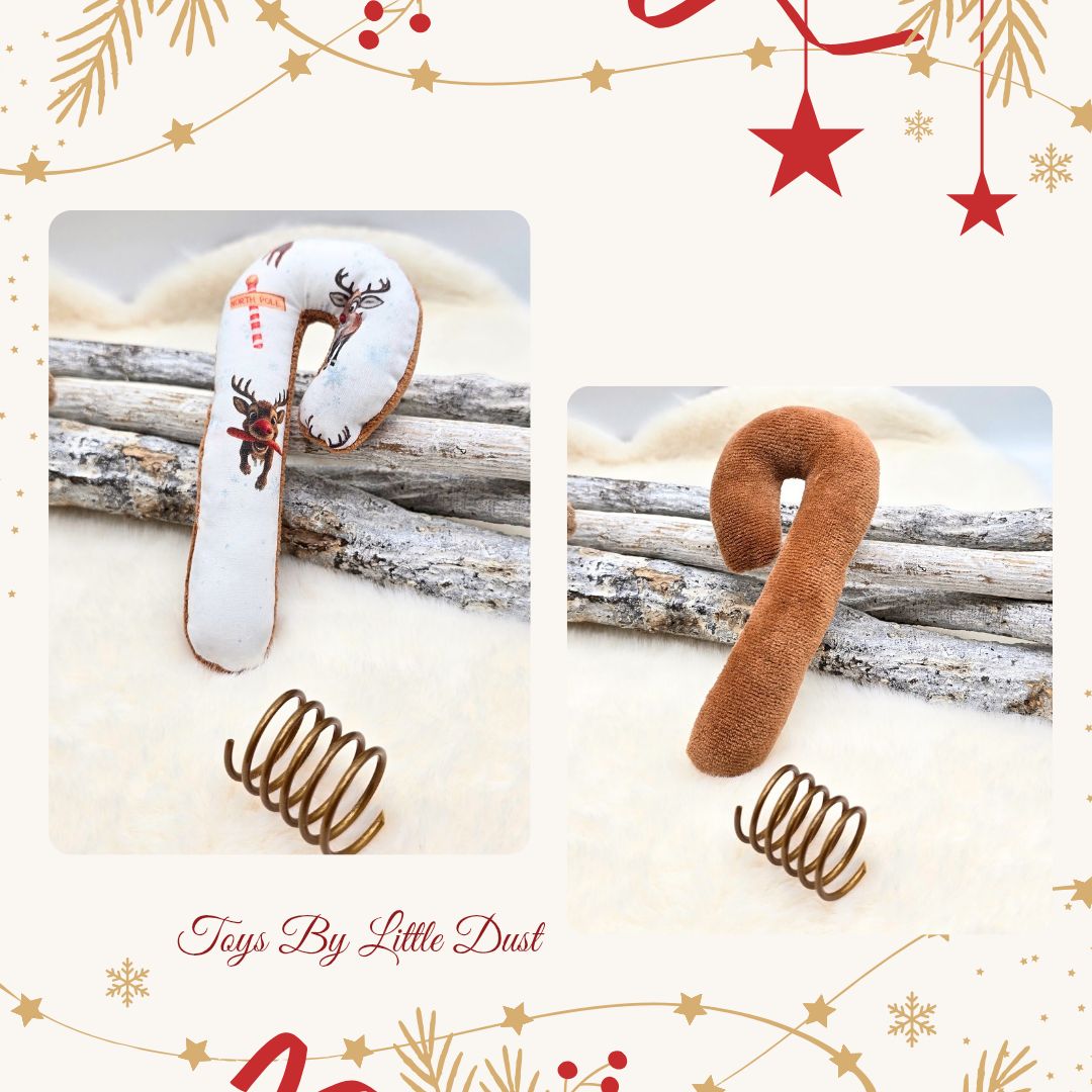 Candy Cane Joy  🎄Menthe