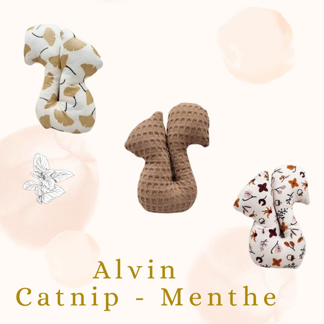 🍃 Alvin  - Catnip Menthe 🍃