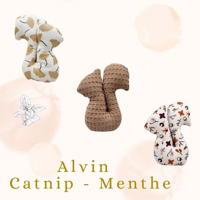 🍃 Alvin  - Catnip Menthe 🍃
