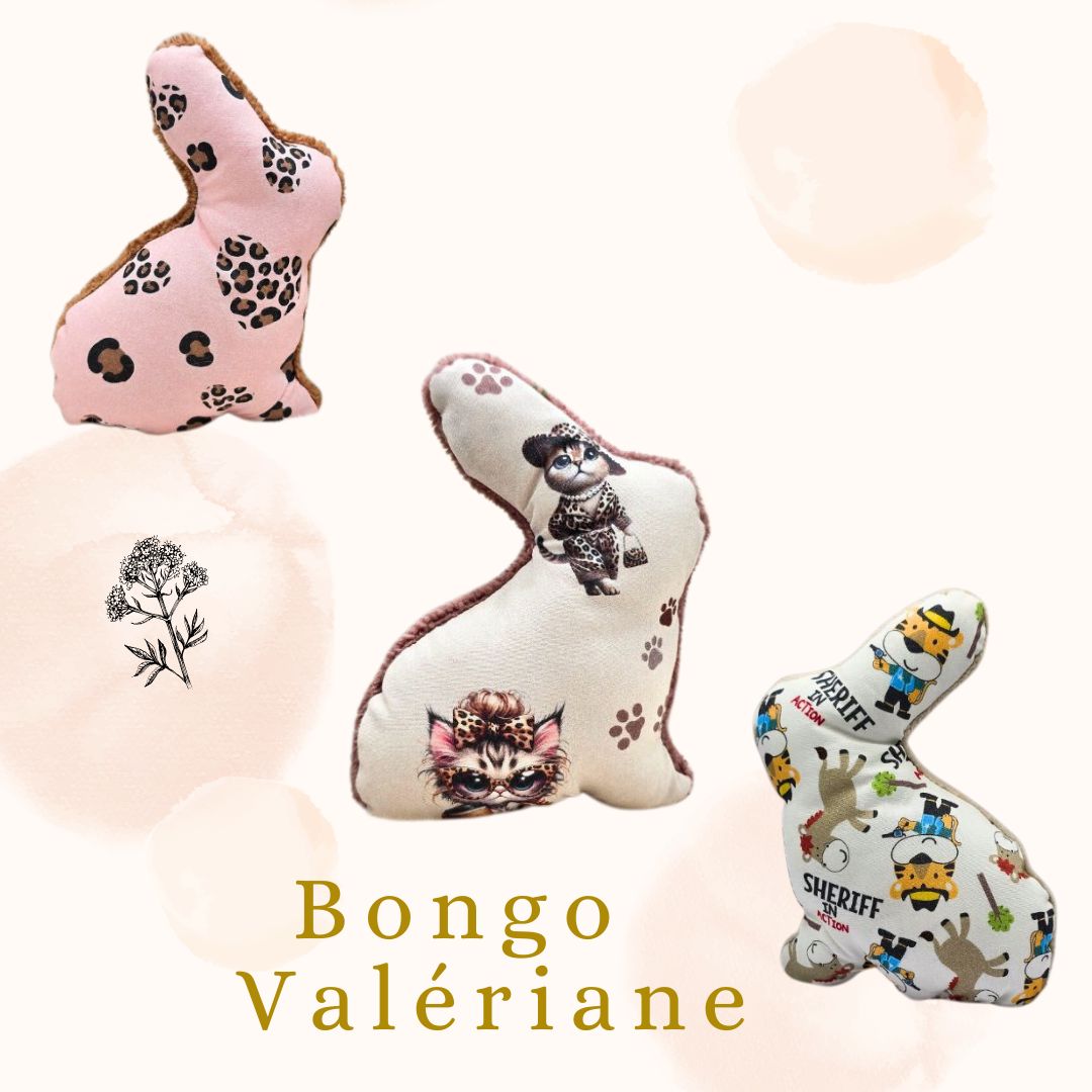 Bongo - Valériane 🌿🌸