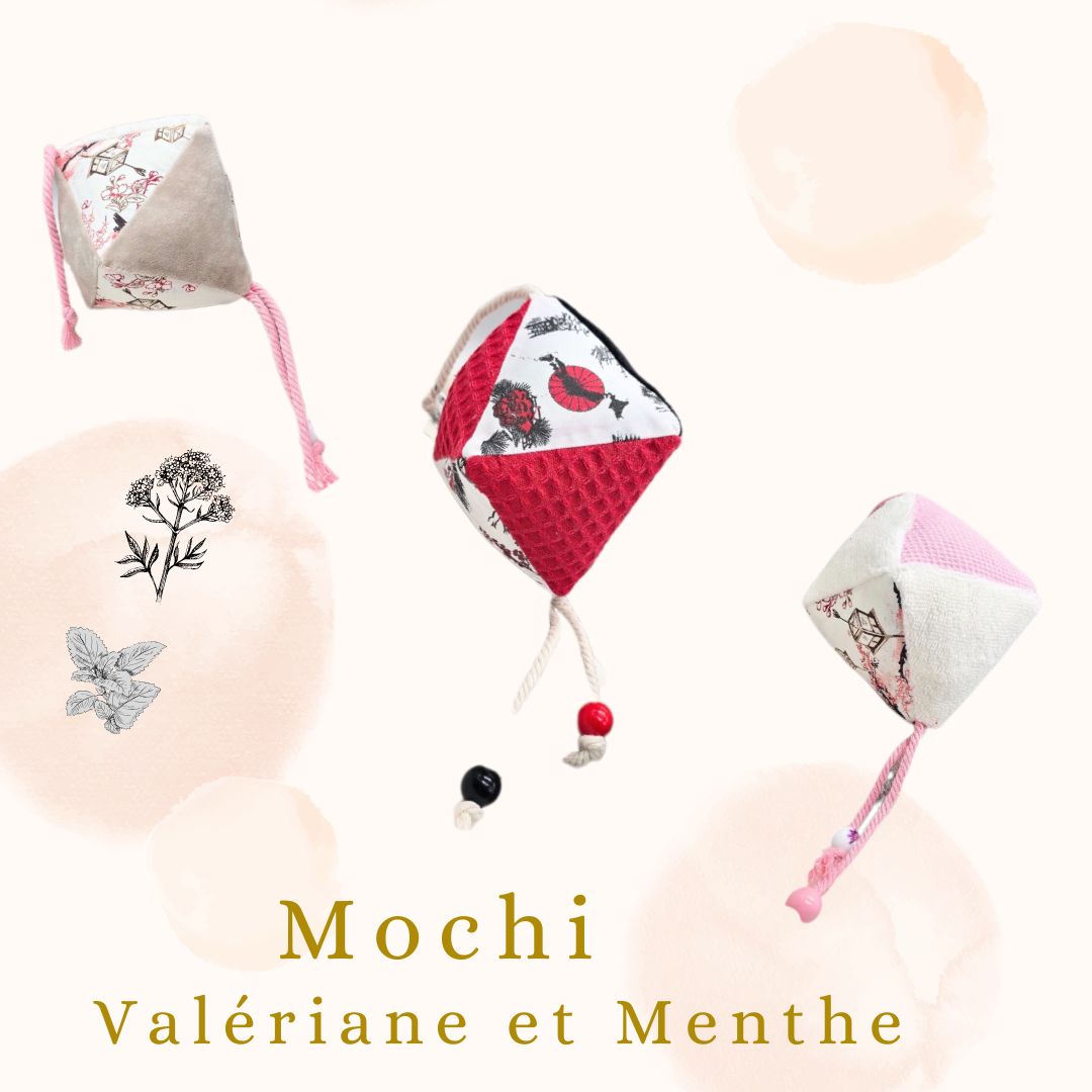 Mochi  - Jouet Interactif en Forme lanterne🐾 valeriane &amp; menthe