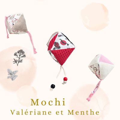 Mochi  - Jouet Interactif en Forme lanterne🐾 valeriane &amp; menthe