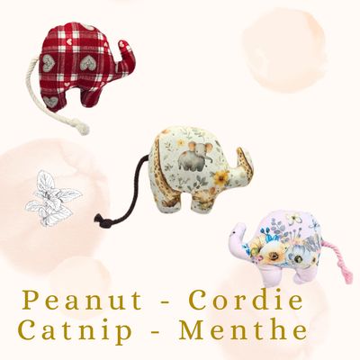 🍃 Peanut Cordie - Menthe a chat 🍃