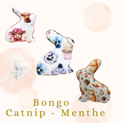 🍃Bongo Catnip Menthe 🍃