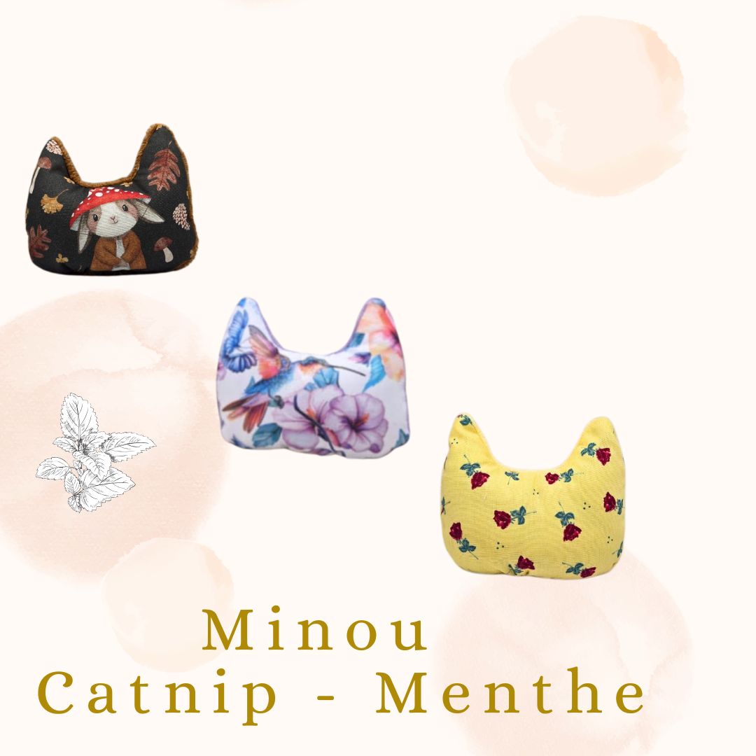 🍃 Minou  - Catnip Menthe 🍃