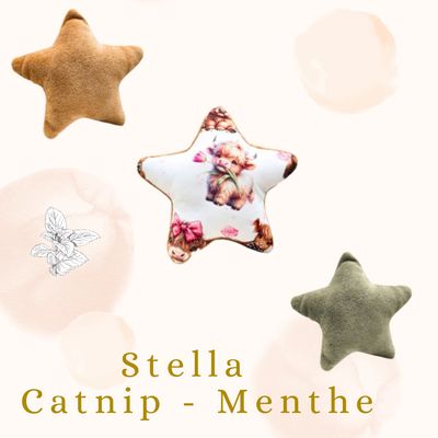 🍃 Stella  - Catnip Menthe 🍃
