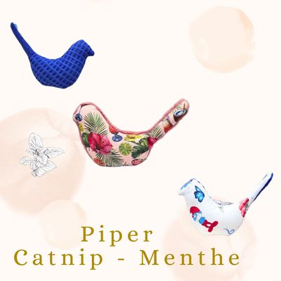 🍃 Piper  - Catnip Menthe 🍃