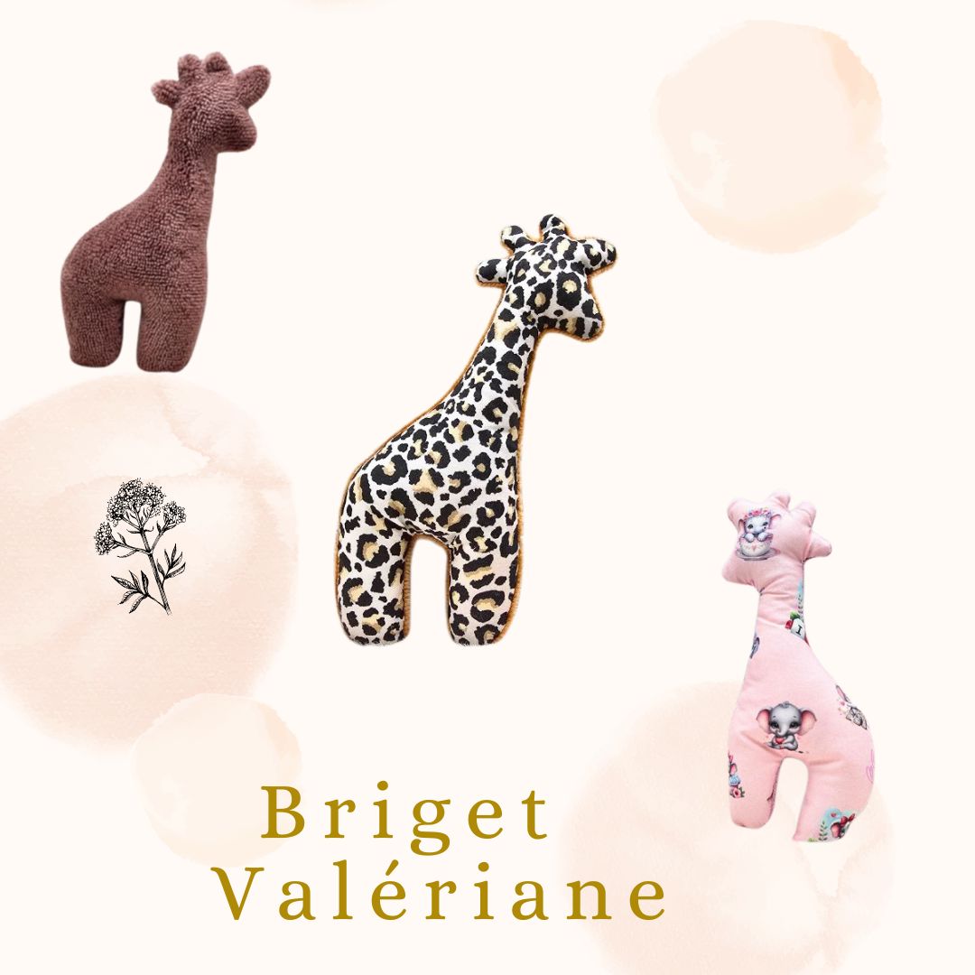 Briget la Girafe  Valériane 🌿🌸
