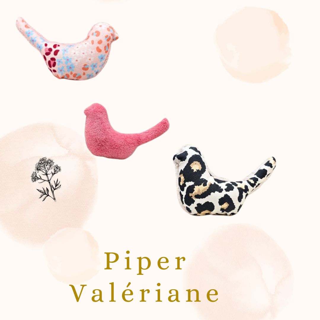 Piper  - Valeriane  🌿🌸