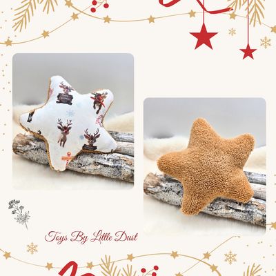 Stella L'Étoile Magique de Noël 🎄Valériane