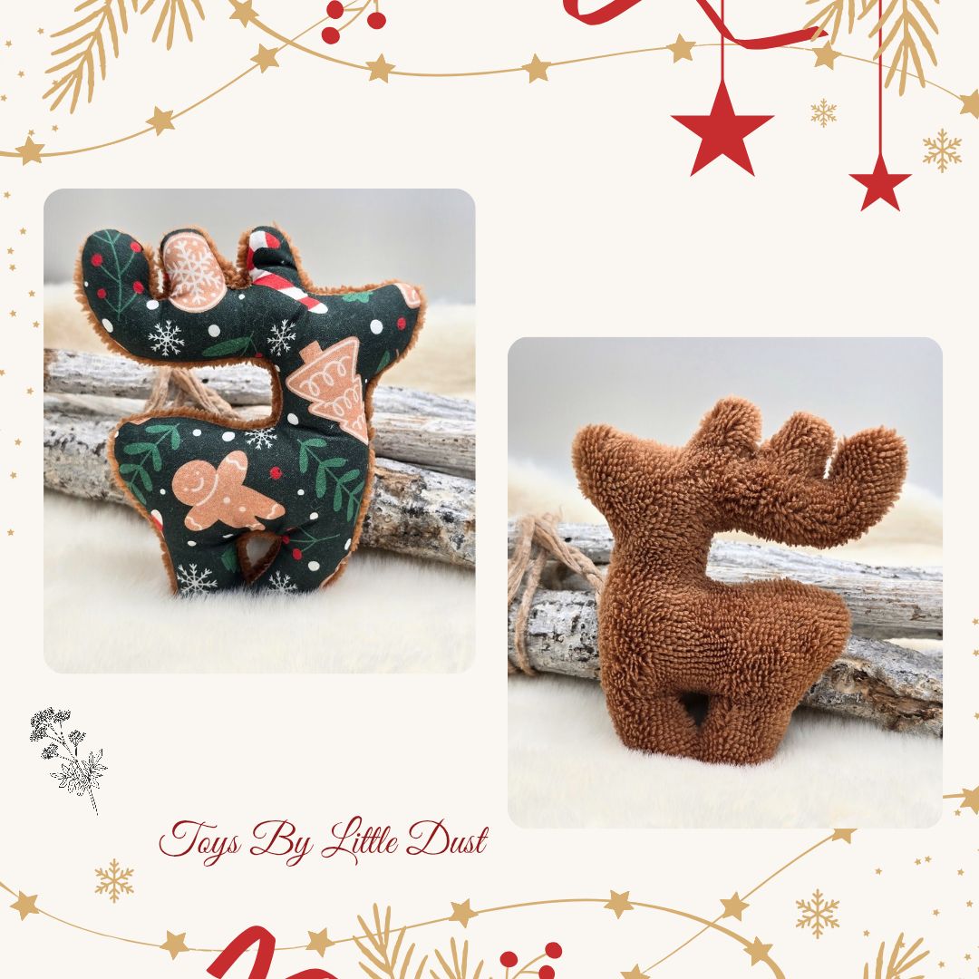 Comète de Noël 🎄Valériane