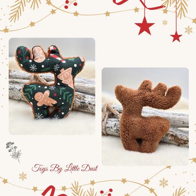 Comète de Noël 🎄Valériane