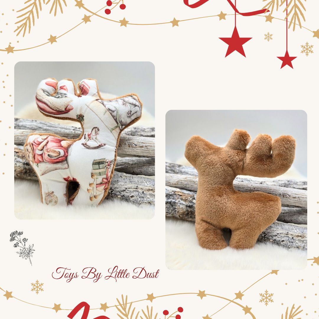 Comète de Noël 🎄Valériane