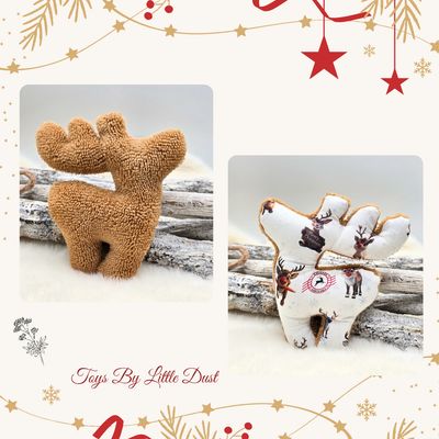 Comète de Noël 🎄Valériane