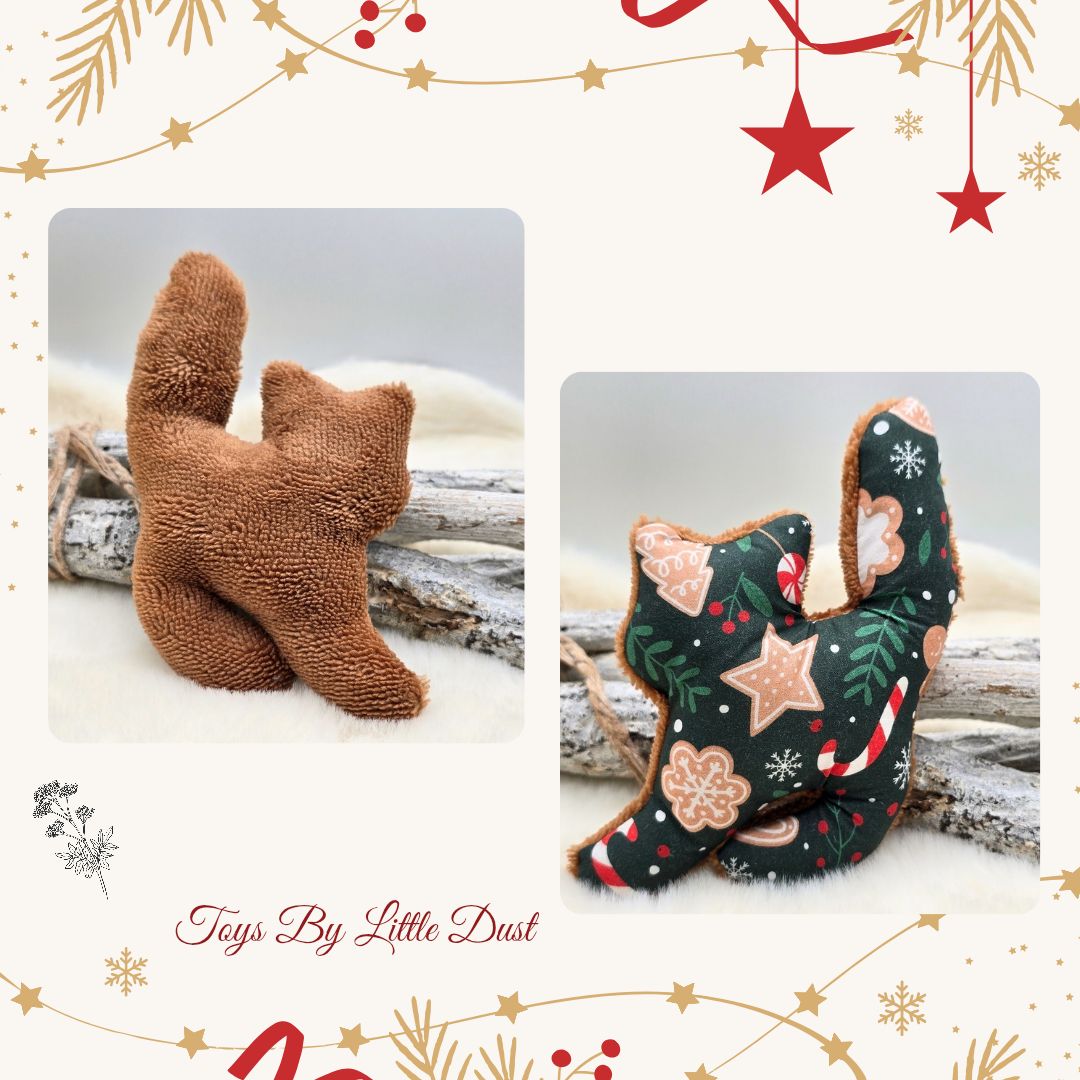 Sushi Édition de Noël 🎄Valériane