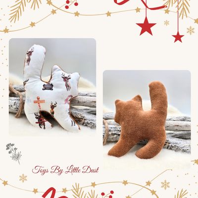 Sushi Édition de Noël 🎄Valériane