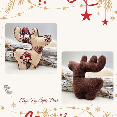 Comète de Noël 🎄Valériane