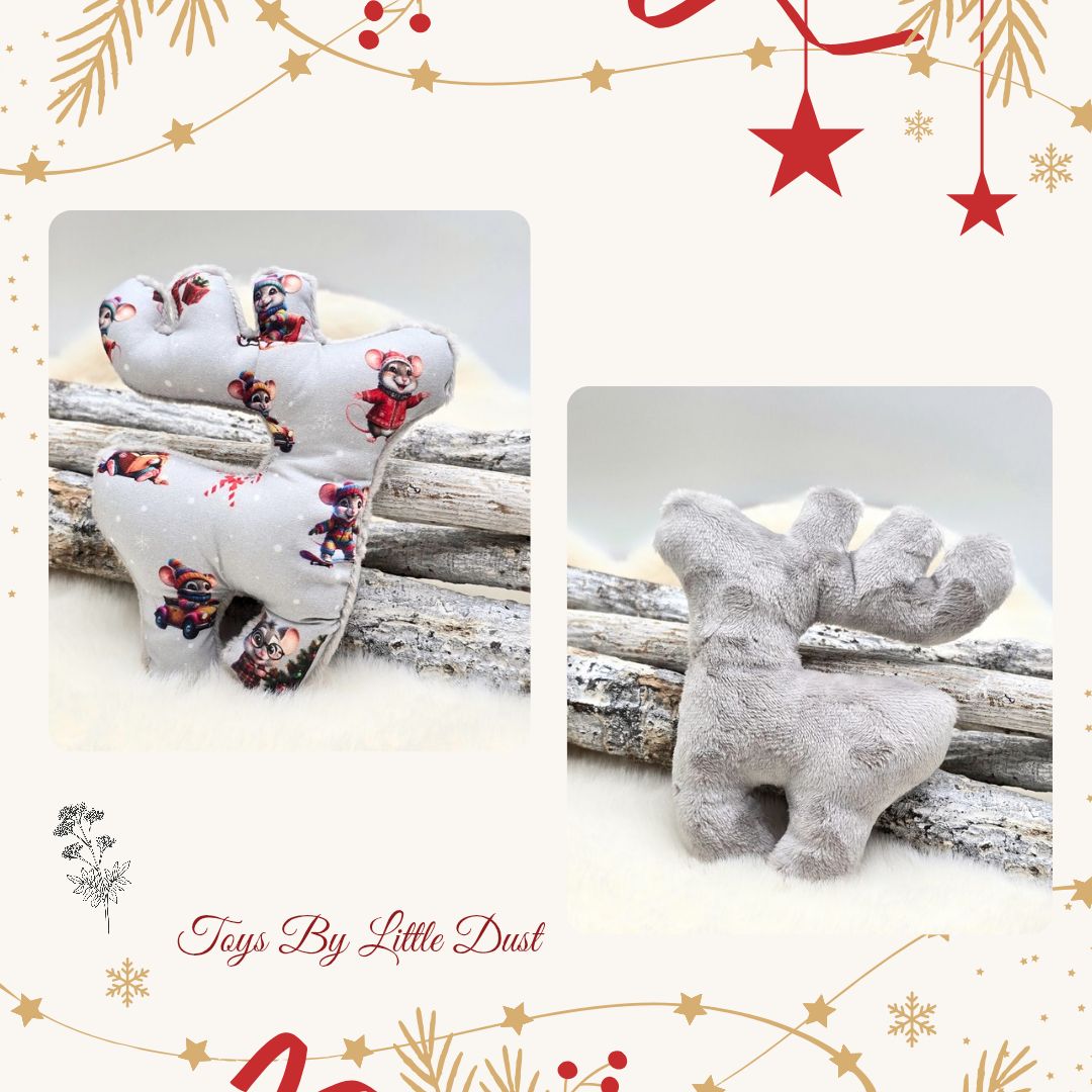 Comète de Noël 🎄Valériane