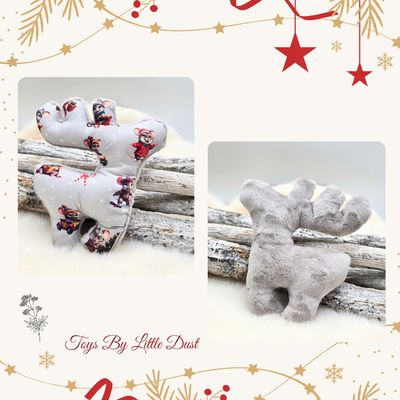 Comète de Noël 🎄Valériane