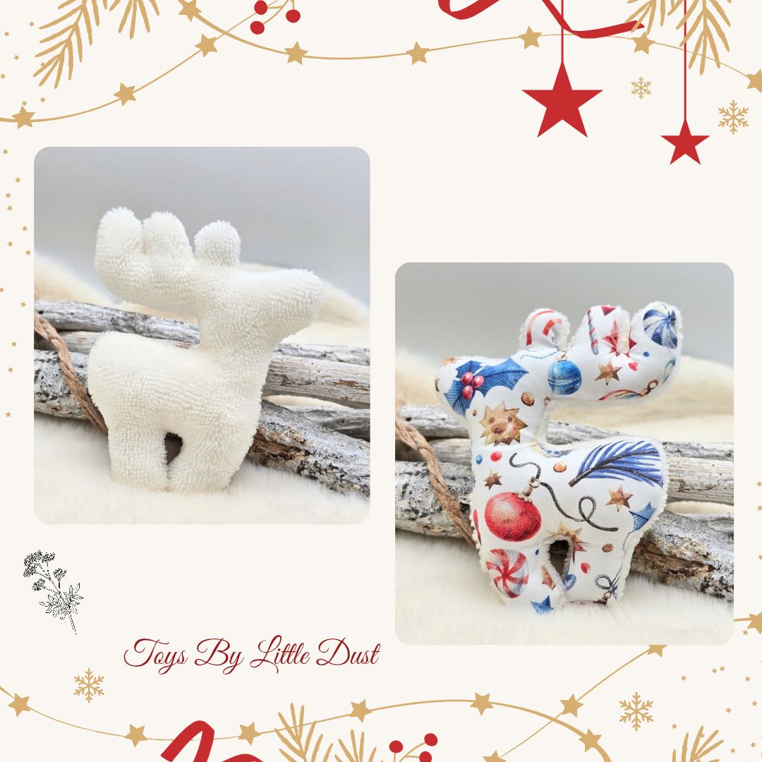 Comète de Noël 🎄Valériane