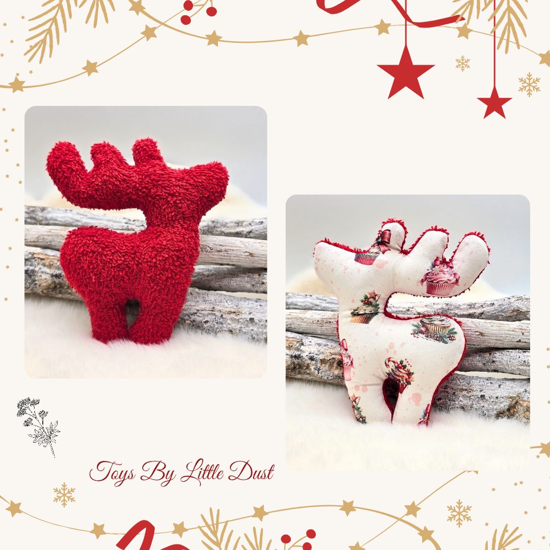 Comète de Noël 🎄Valériane